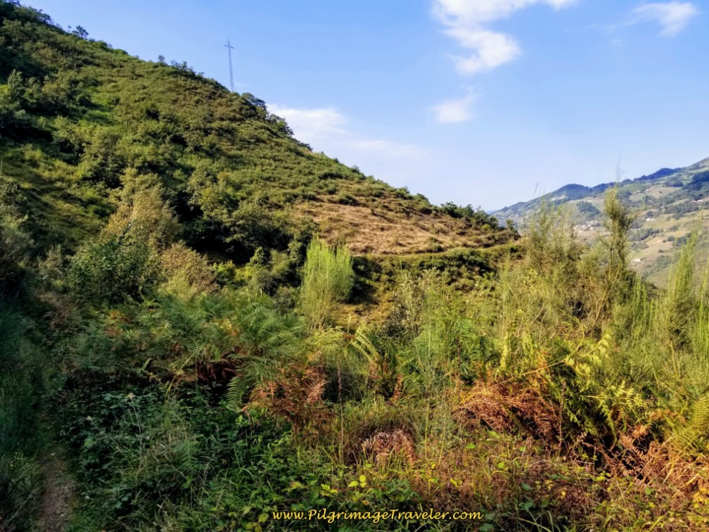 The Trail is Visible Ahead