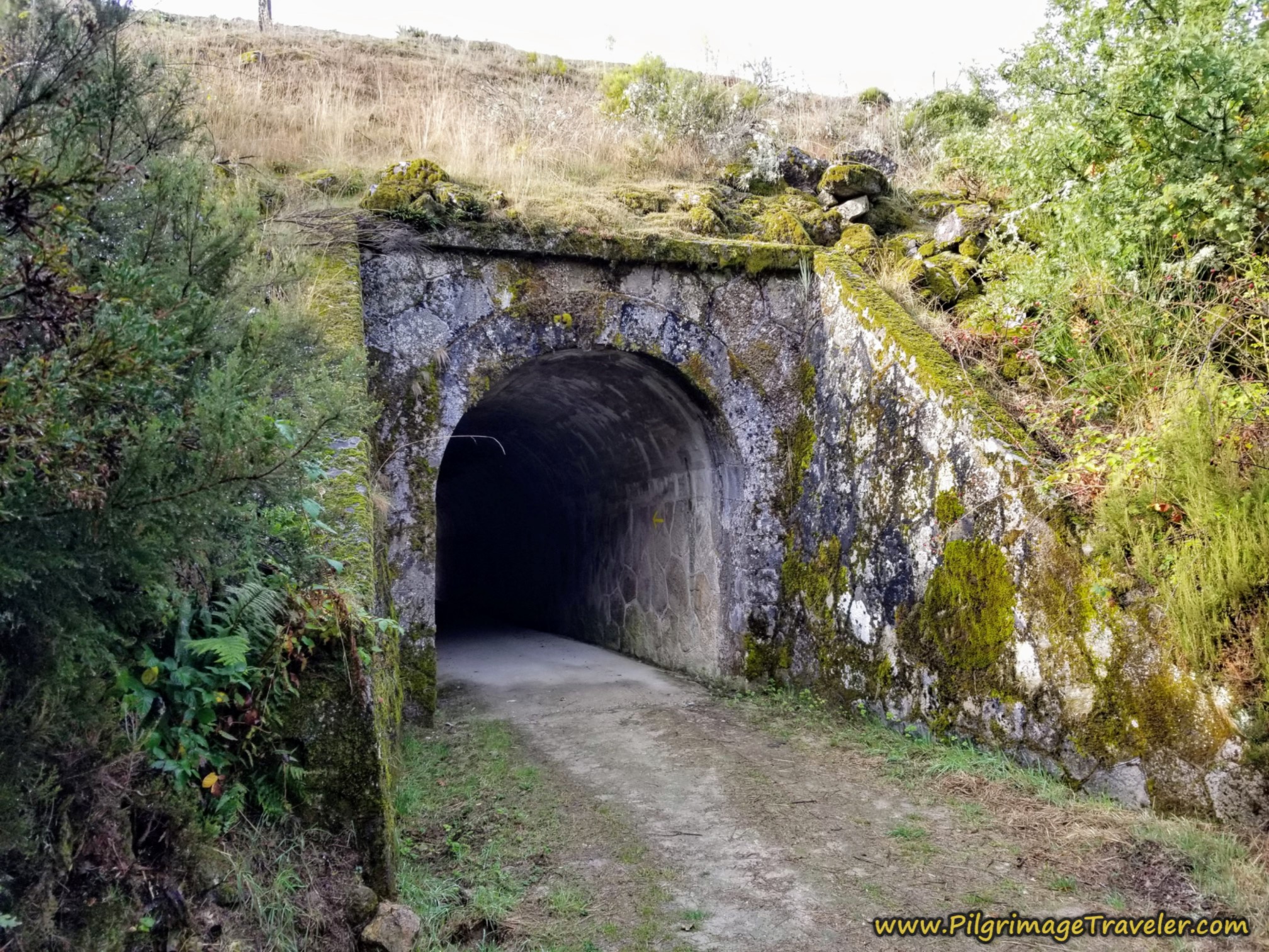 Tunnel Under Railroad