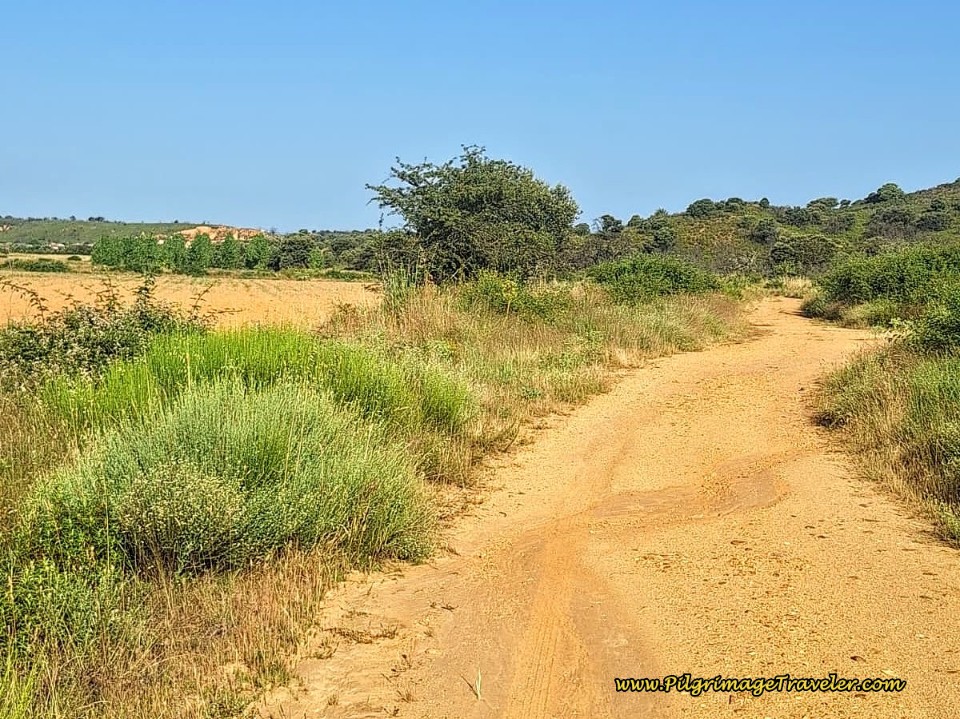 Walk Westward Again to Join Routes