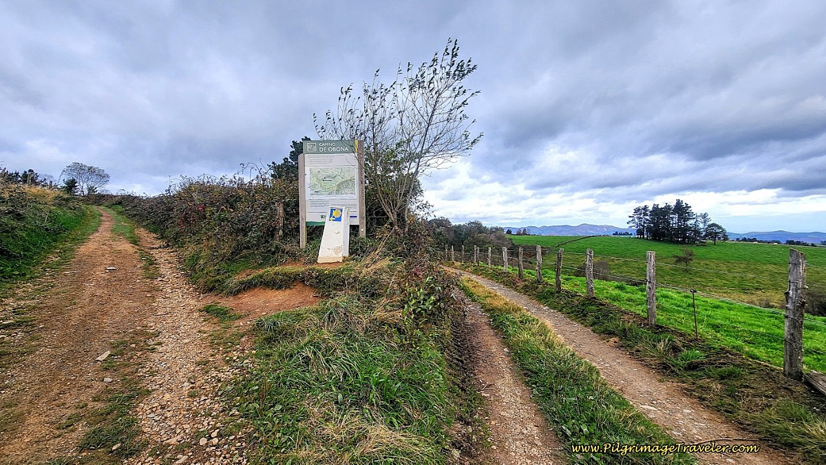 The Obona Decision Point