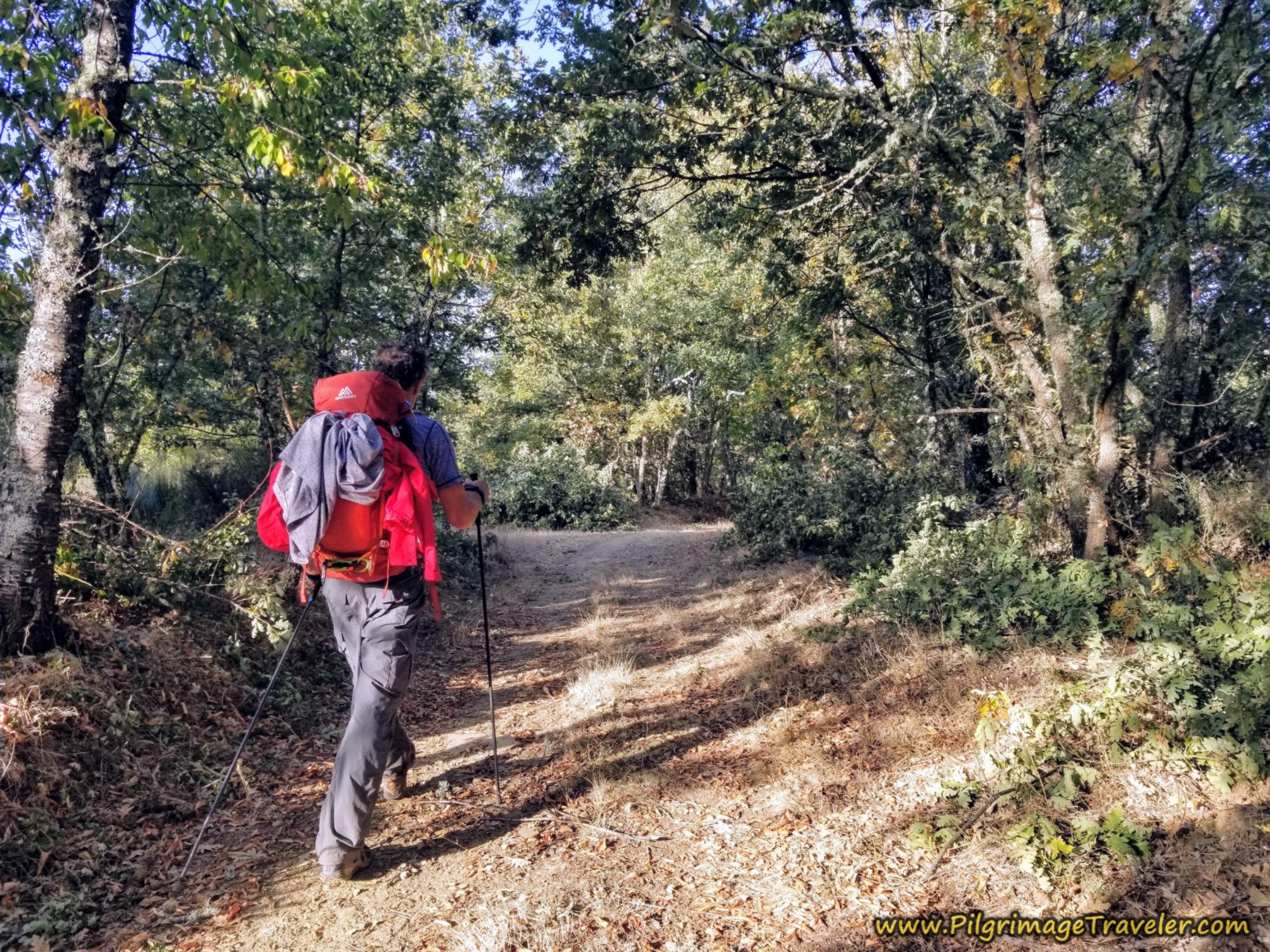 Back in Nature and the Countryside