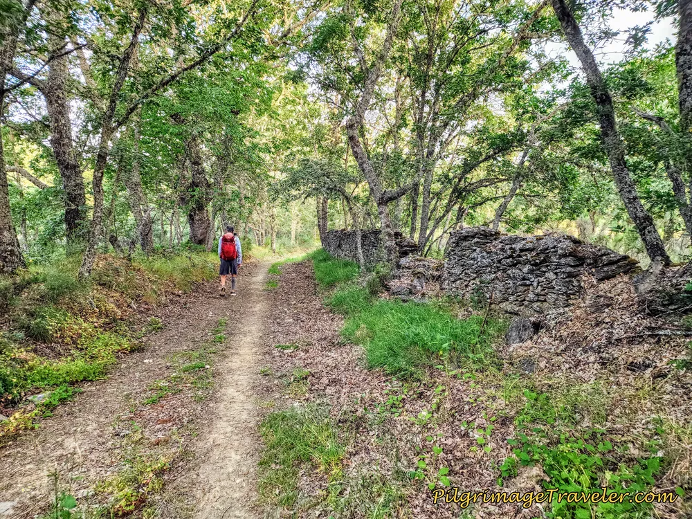 Back in Nature and the Countryside
