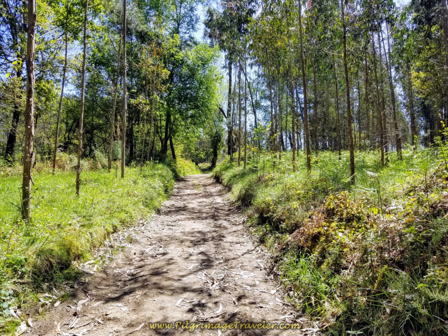 Final Push to Albergue on Dirt Lane on day five of the English Way