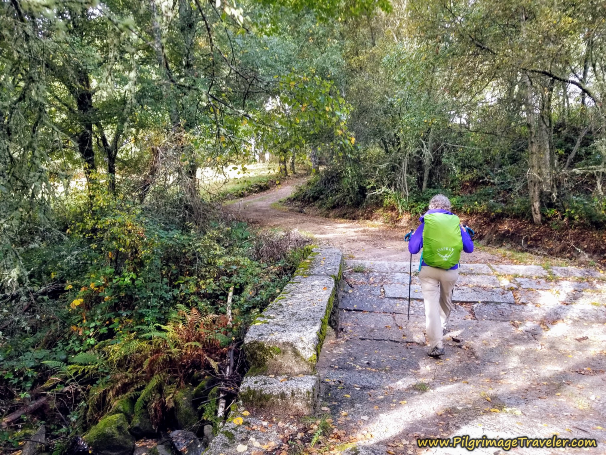 Cross the Regueiro das Hortas on the Camino Sanabrés from Lubián to A Gudiña