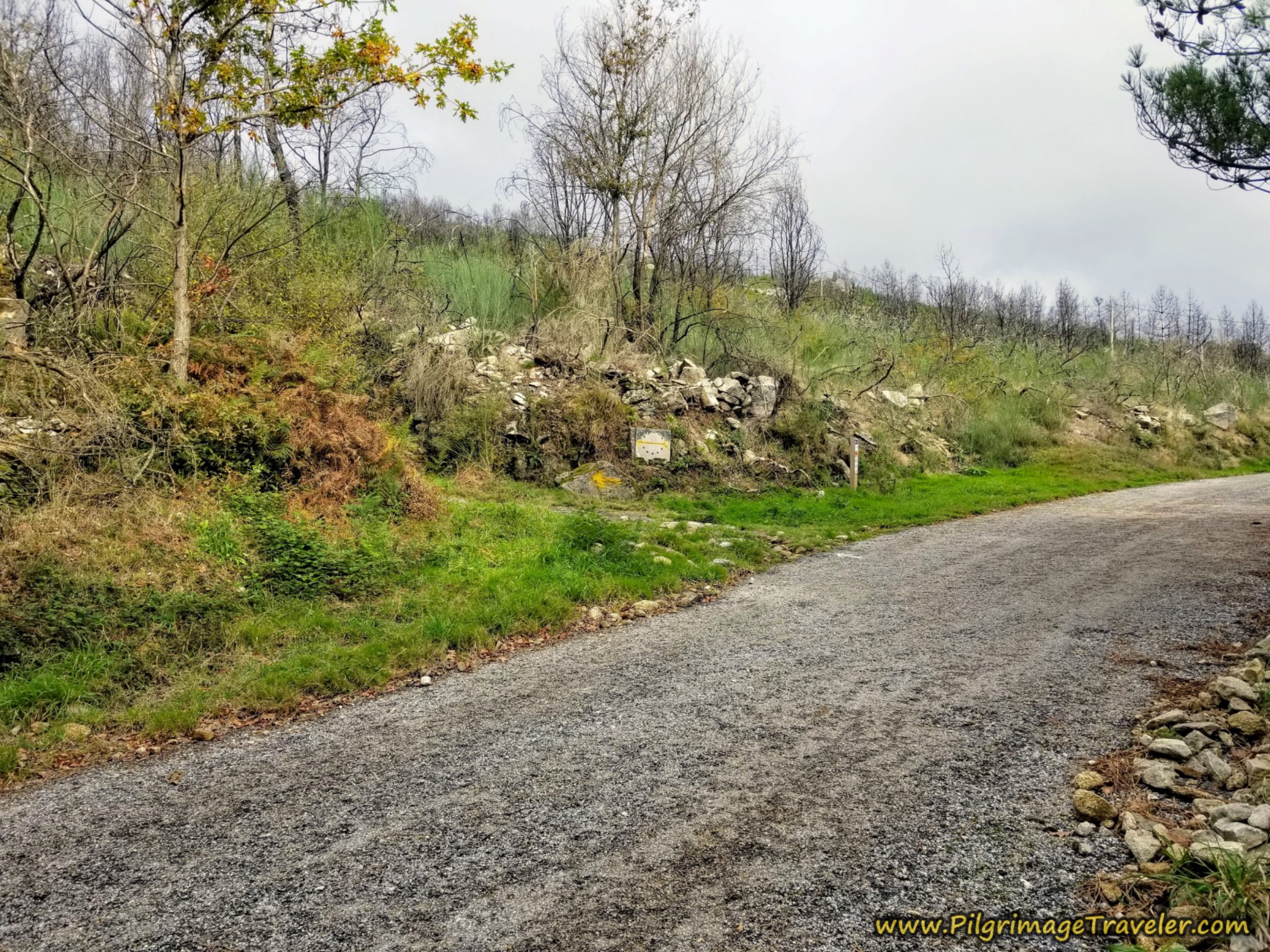 Cross Secondary Road Cross Secondary Road