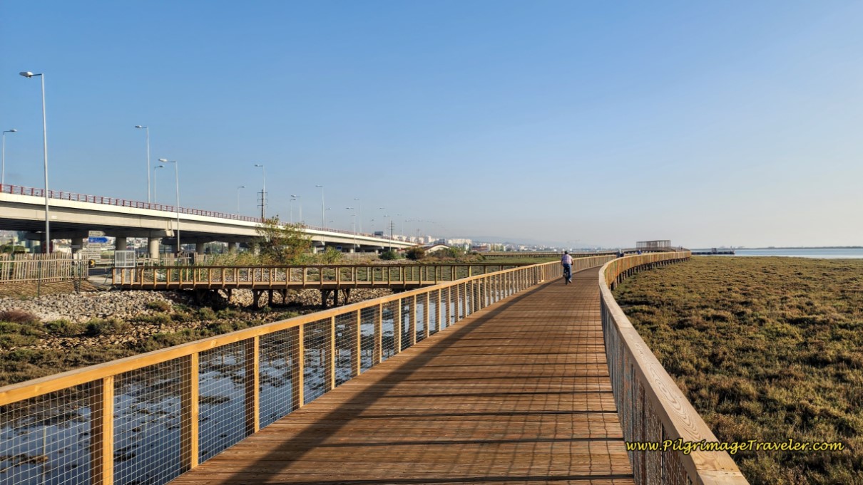 Rare Escape Route from the Boardwalk