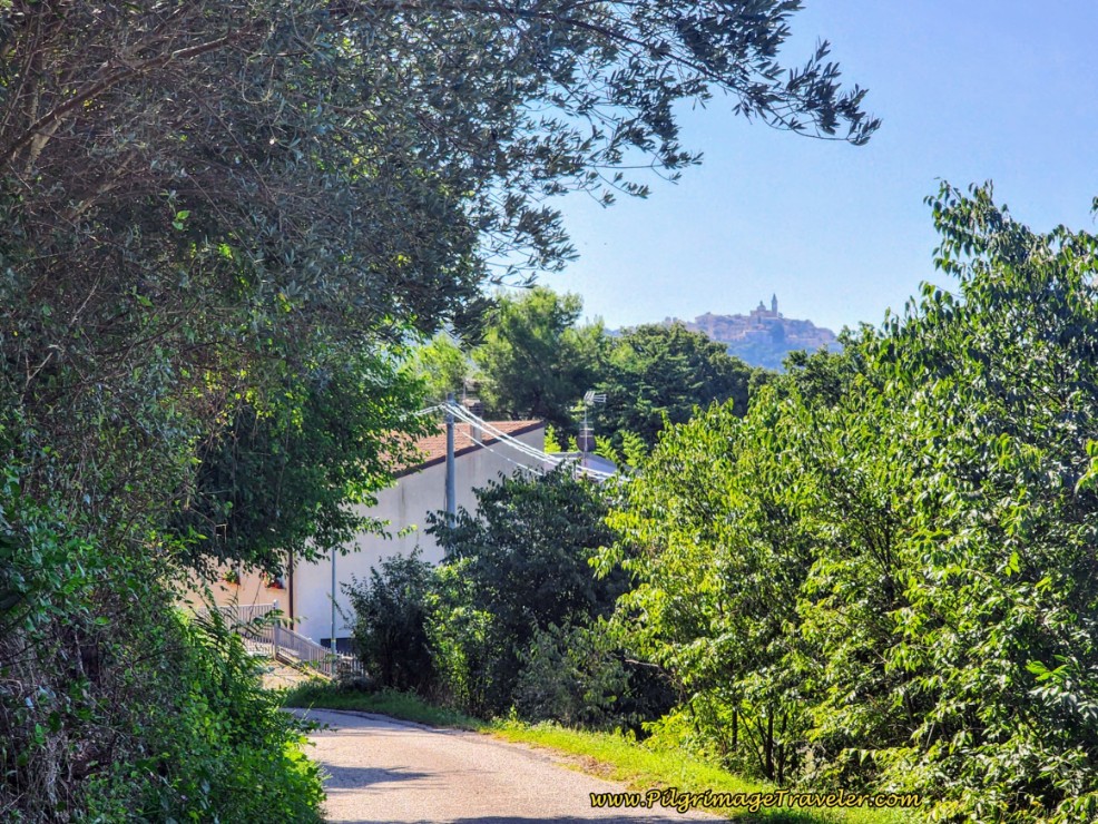 Way of St. Francis: Day Twelve, Spello to Trevi - First Sighting of Trevi Ahead