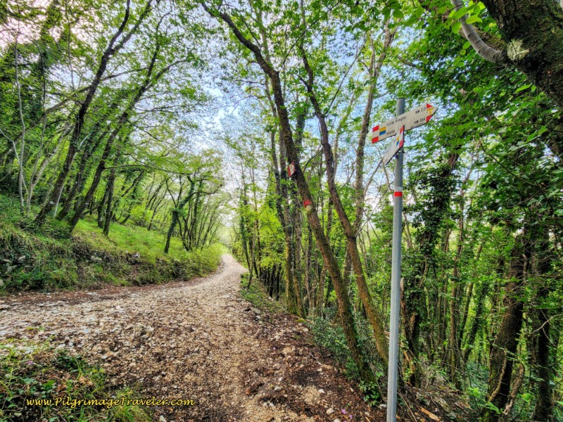 Way of St. Francis: Day Eleven, Assisi to Spello, Join Gravel Road at T-Intersection