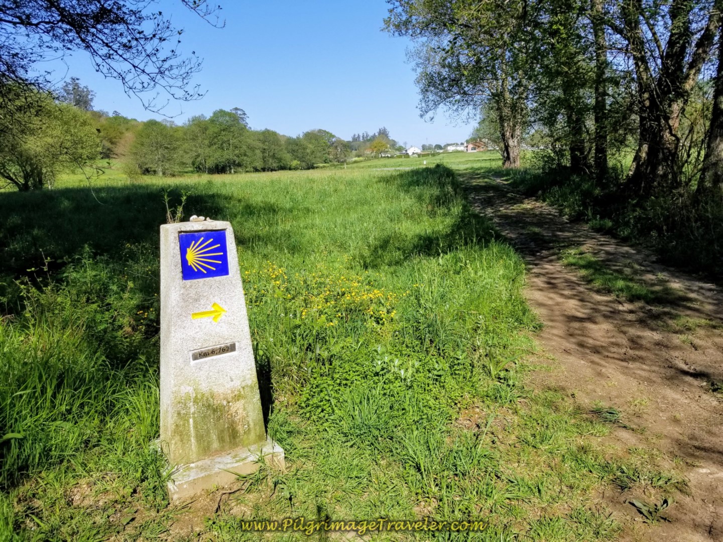 Forest Opens to Fields at 6.76 Kilometer Marker on day eight of the Camino Inglés Forest Opens to Fields at 6.76 Kilometer Marker on day eight of the Camino Inglés