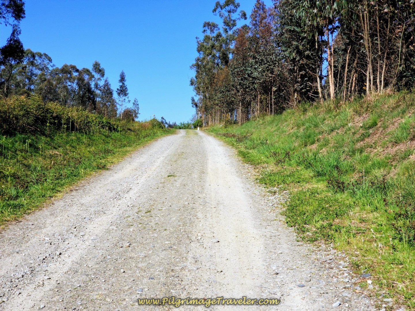 Yet Another, Final Climb for Day Six on  the Camino Inglés