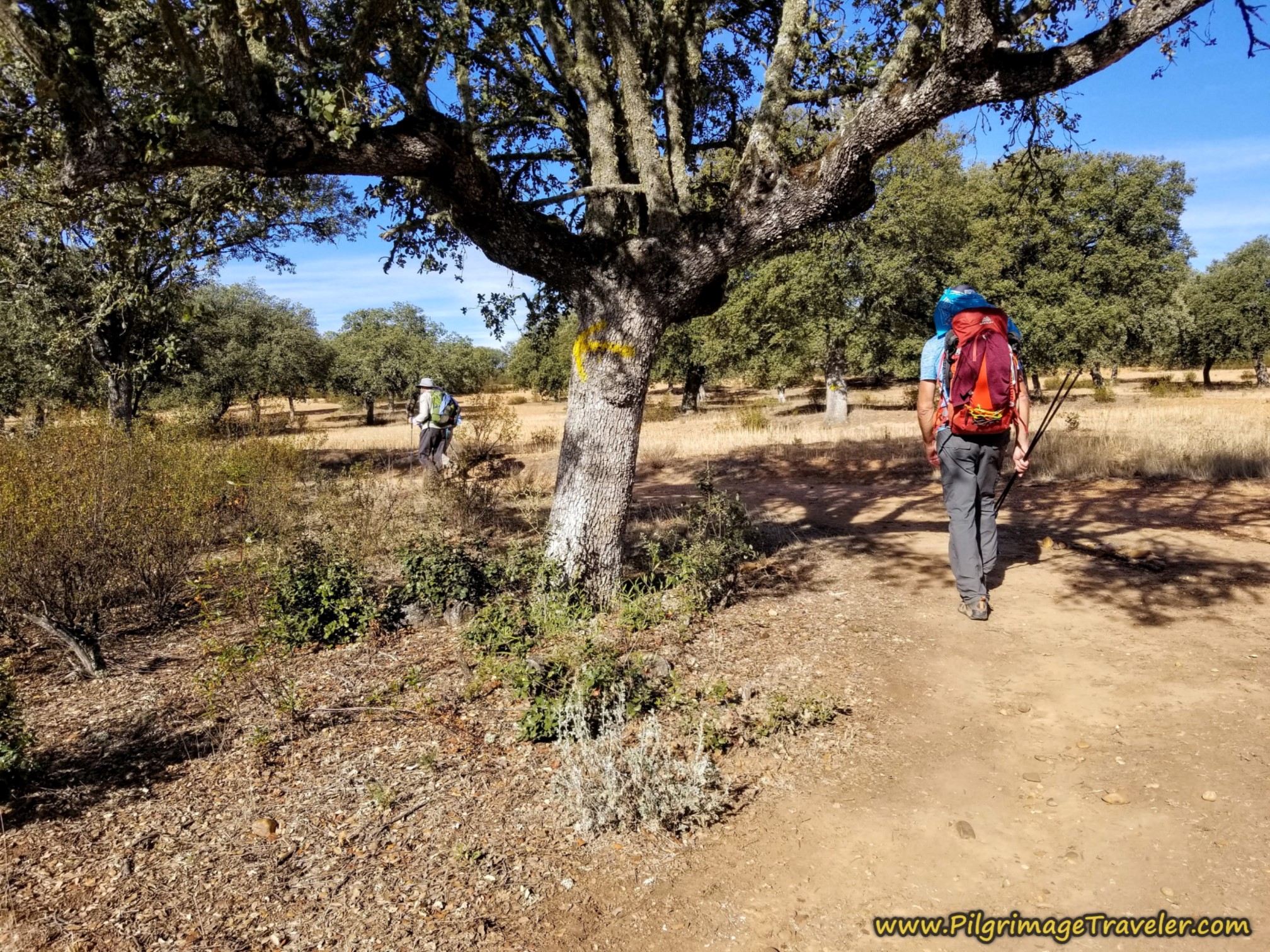 Left Turn at T-Intersection