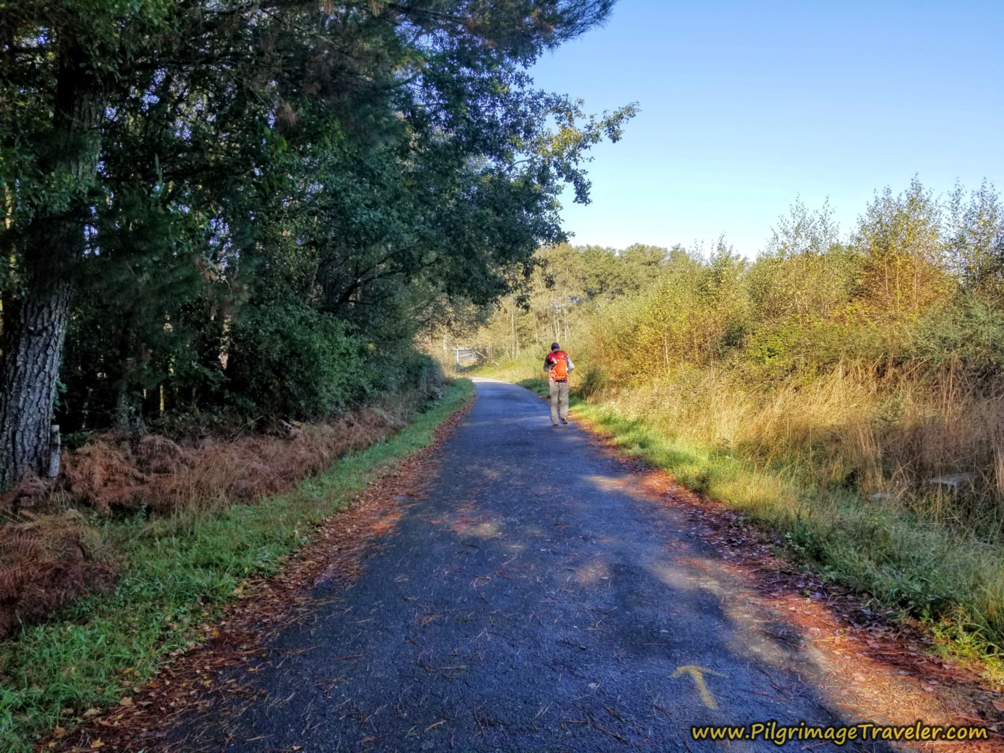 Paved Road Toward Tamallancos