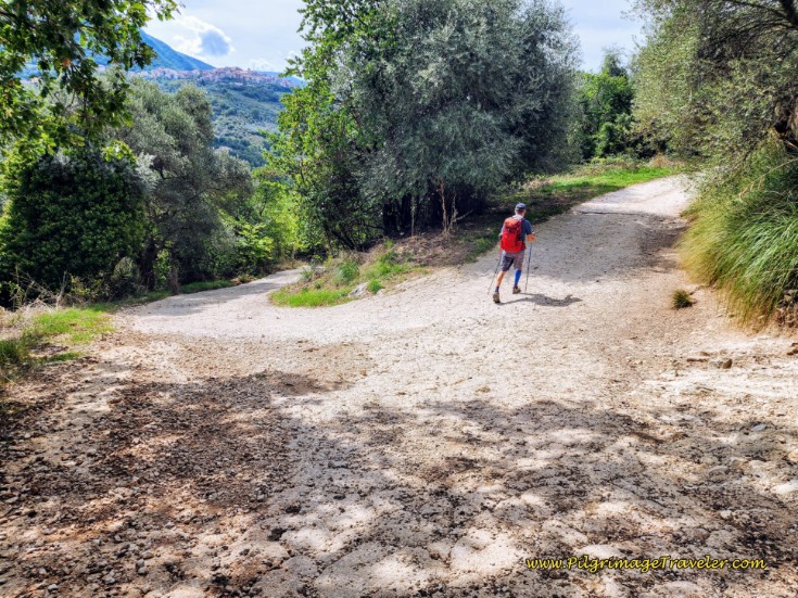 Way of St. Francis: Day Twenty, Poggio San Lorenzo to Ponticelli - Right Turn at Hairpin Bend in the Road