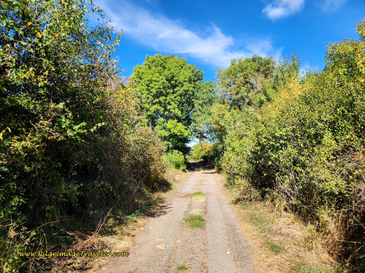 Road Flattens Before Next Town of Cabanillas