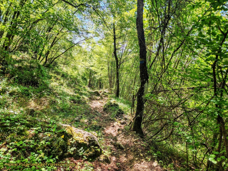 Way of St. Francis: Day Seventeen, Piediluco to Poggio Bustone - Steep, Rocky and Rough Trail