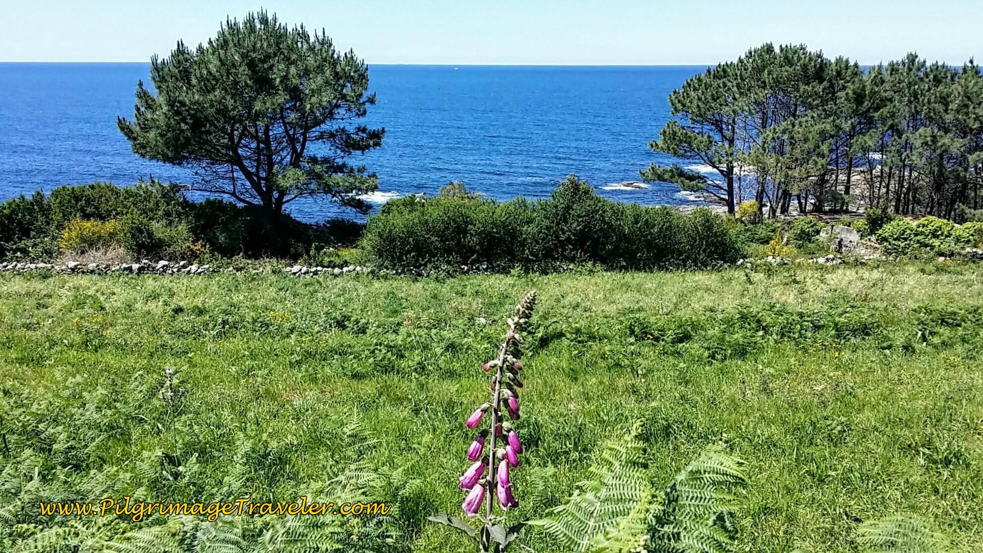 Seacoast Constant Companion on Your Left on Day Nineteen of the Camino Portugués