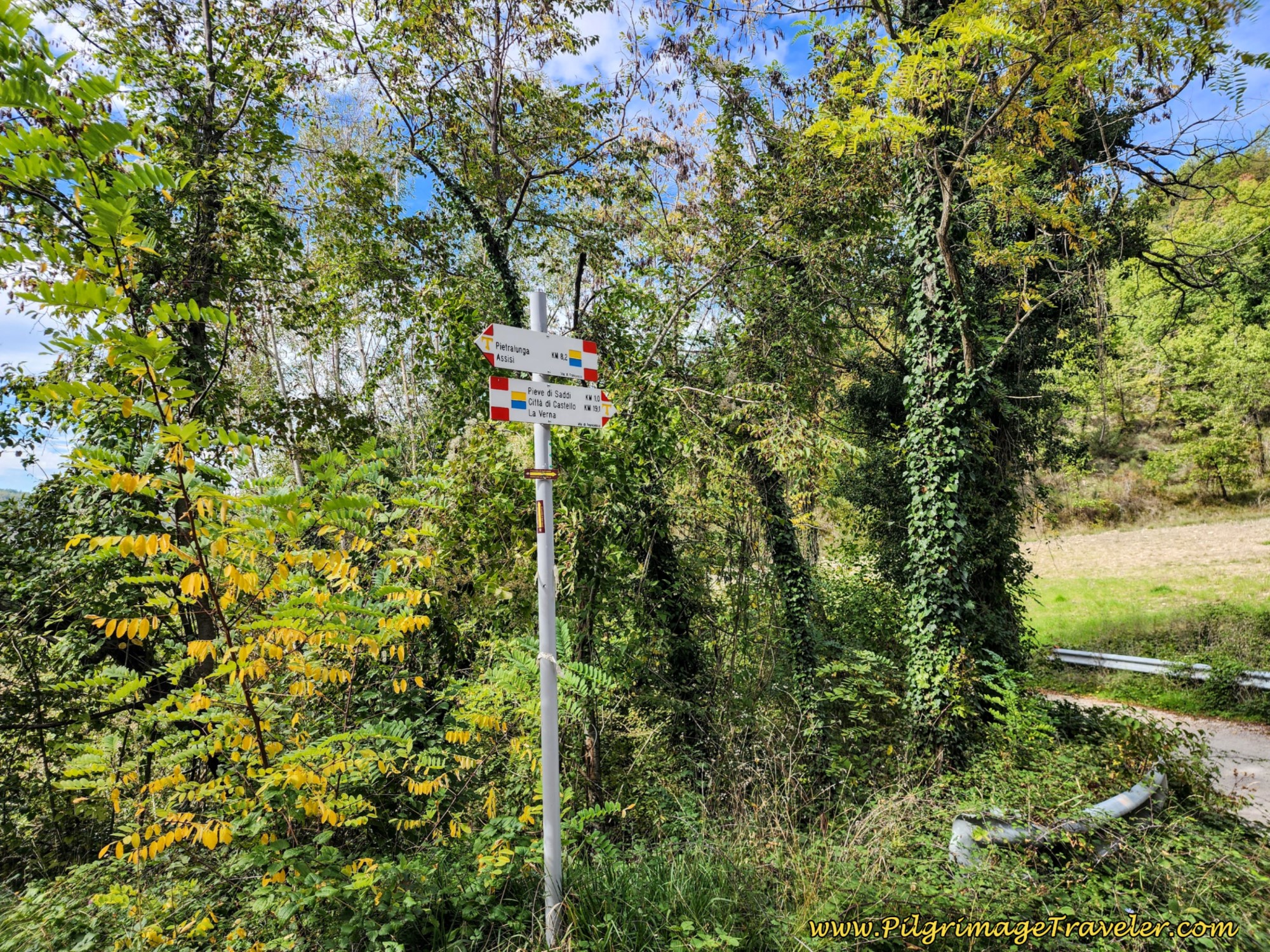 Stay Left at Y-Intersection ~ 8.2 Km Left to Go Stay Left at Y-Intersection ~ 8.2 Km Left to Go