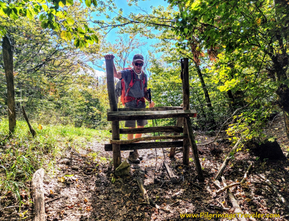 Top Out at Second Gate