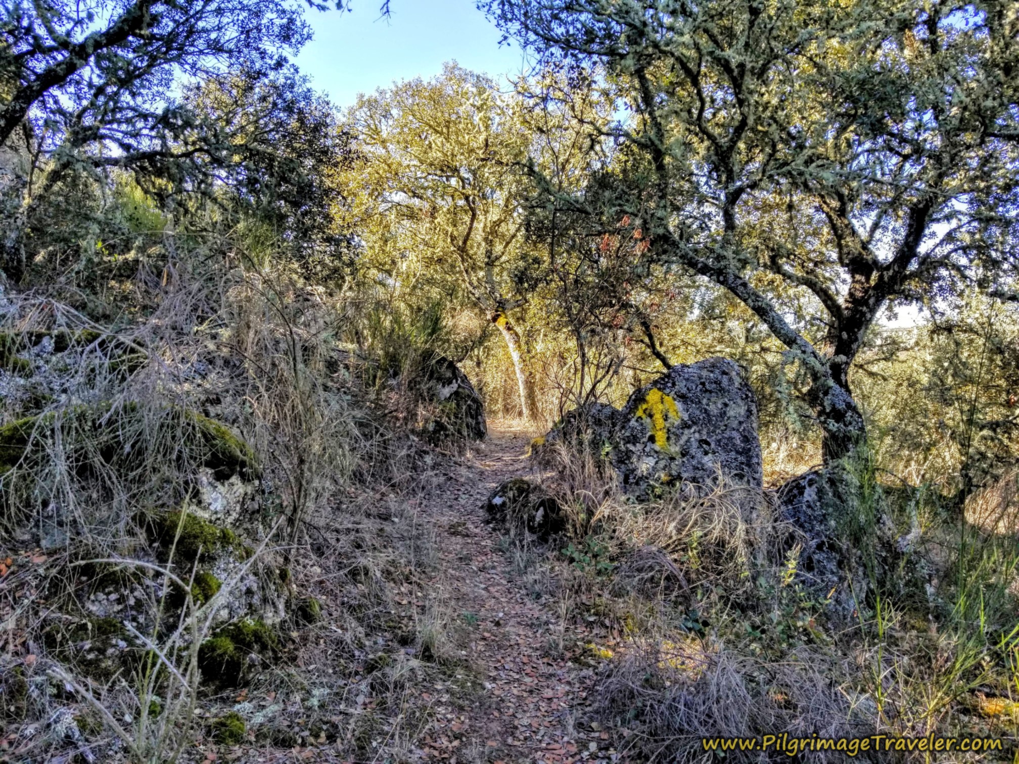 Yellow Arrows on Rocks