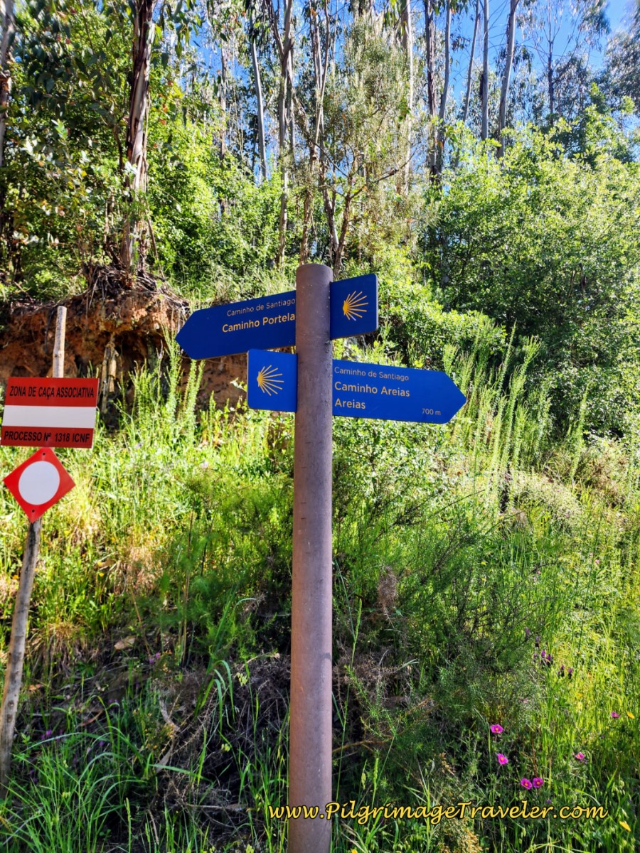 Signs at Decision Point