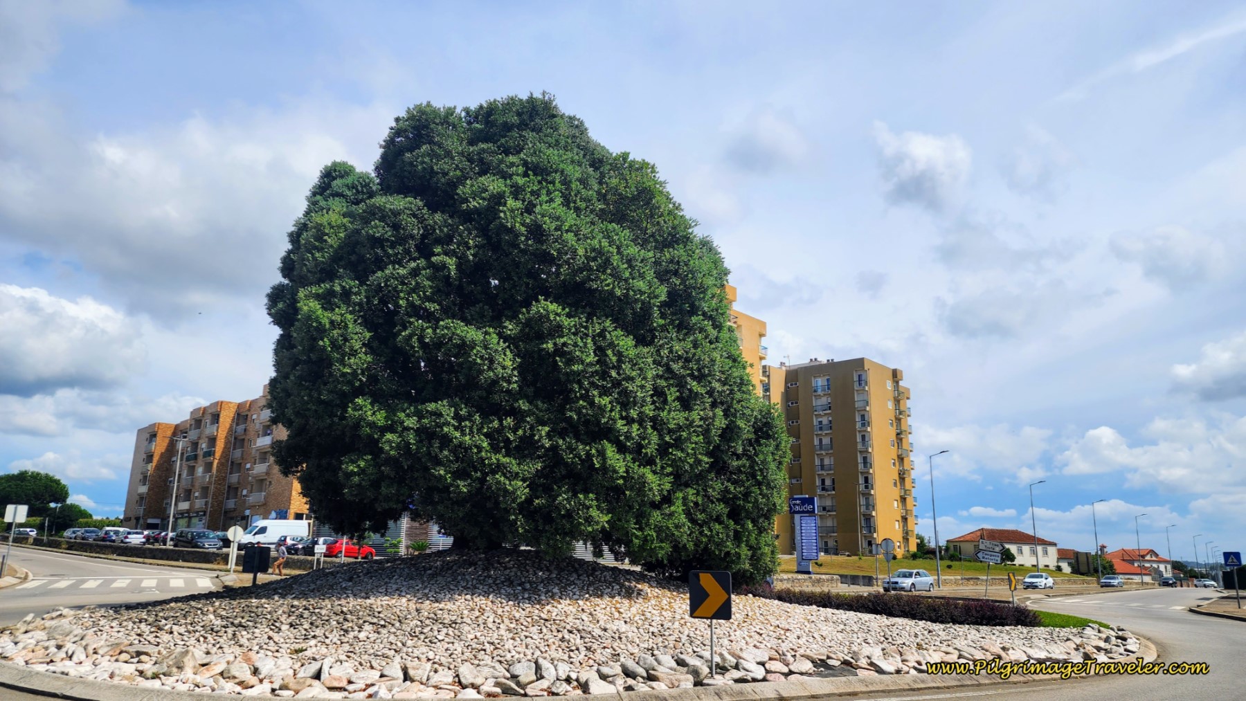 Cross N-13 at Roundabout with Large Tree