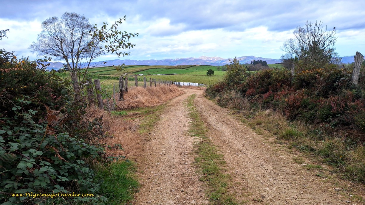 Walk for One Kilometer on High Lane