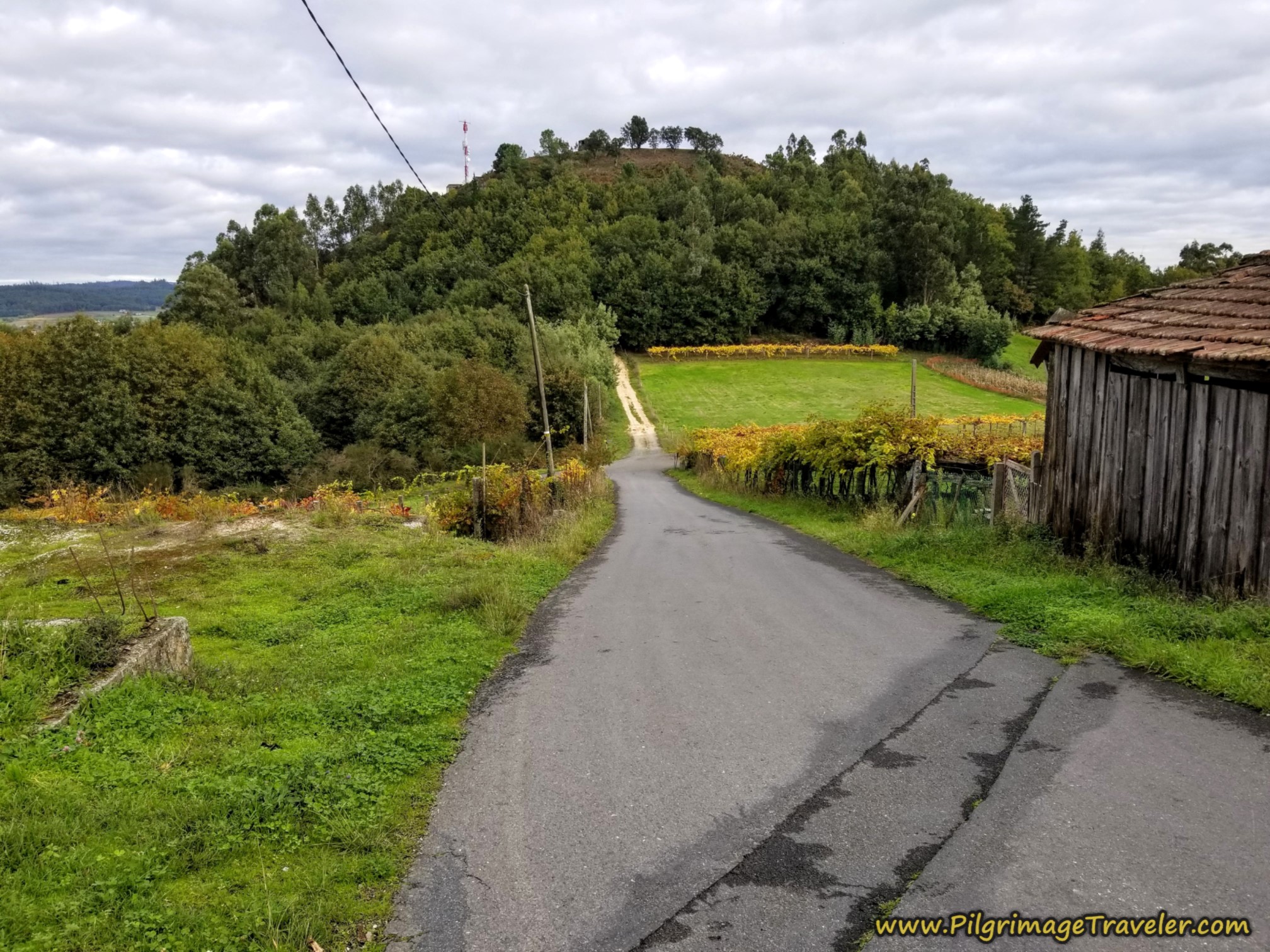 The Miradoiro do Alto do Castro