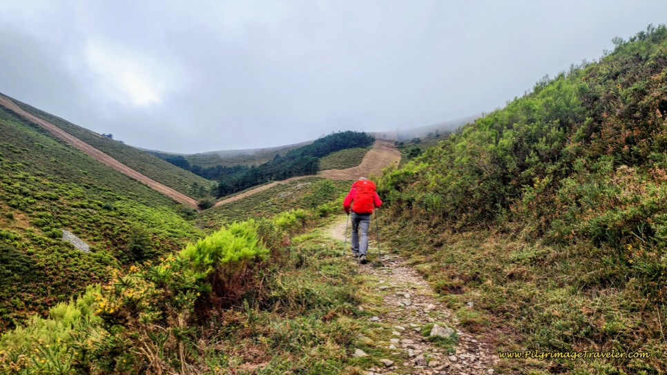 Toward the Top of the Pass