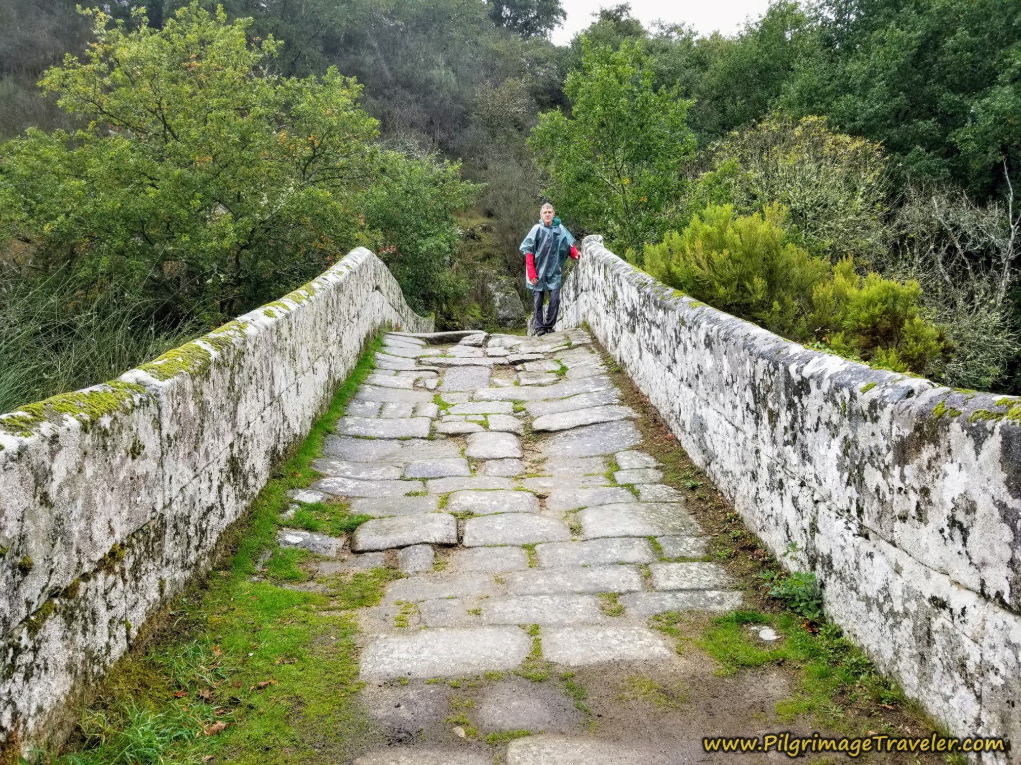 Rich and the Ponte Taboada