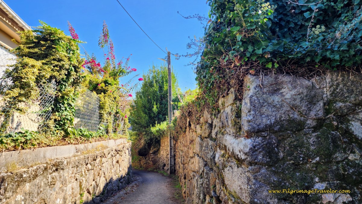 Along the Quaint Camiño Real Along the Quaint Camiño Real