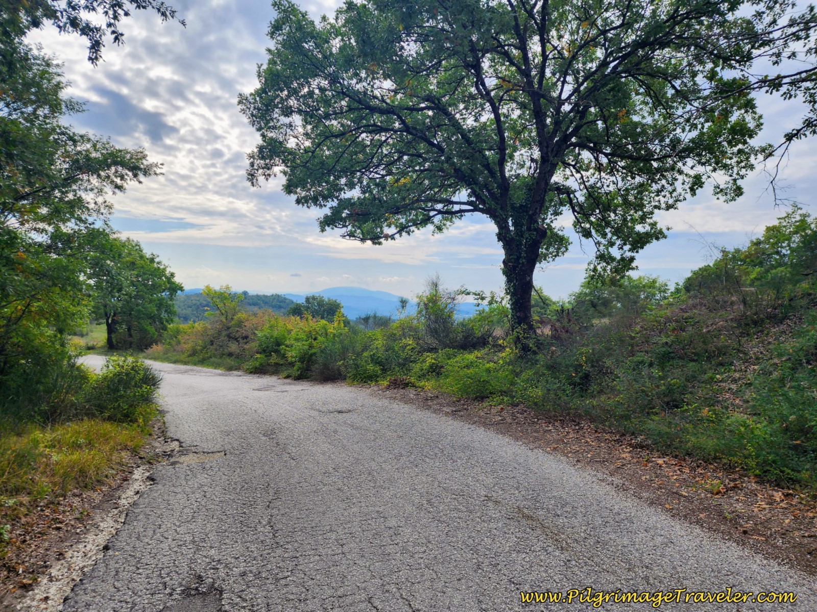 Altitude Top, Day Eight