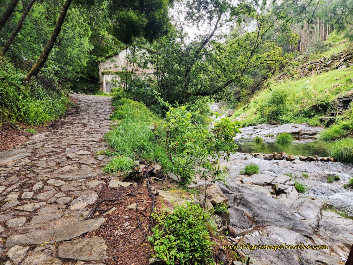 Ancient Road Follows the River with Waterfall Ancient Road Follows the River
