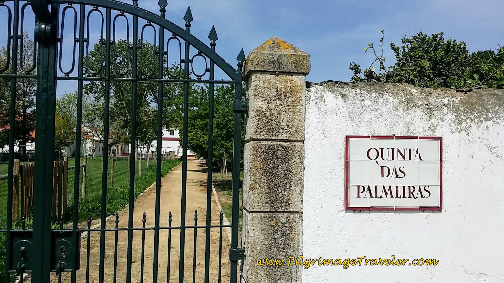 Quinta das Palmeiras