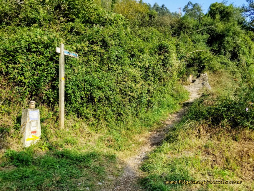 Turn Right on Path to Begin the Roman Road Turn Right on Path to Begin the Roman Road