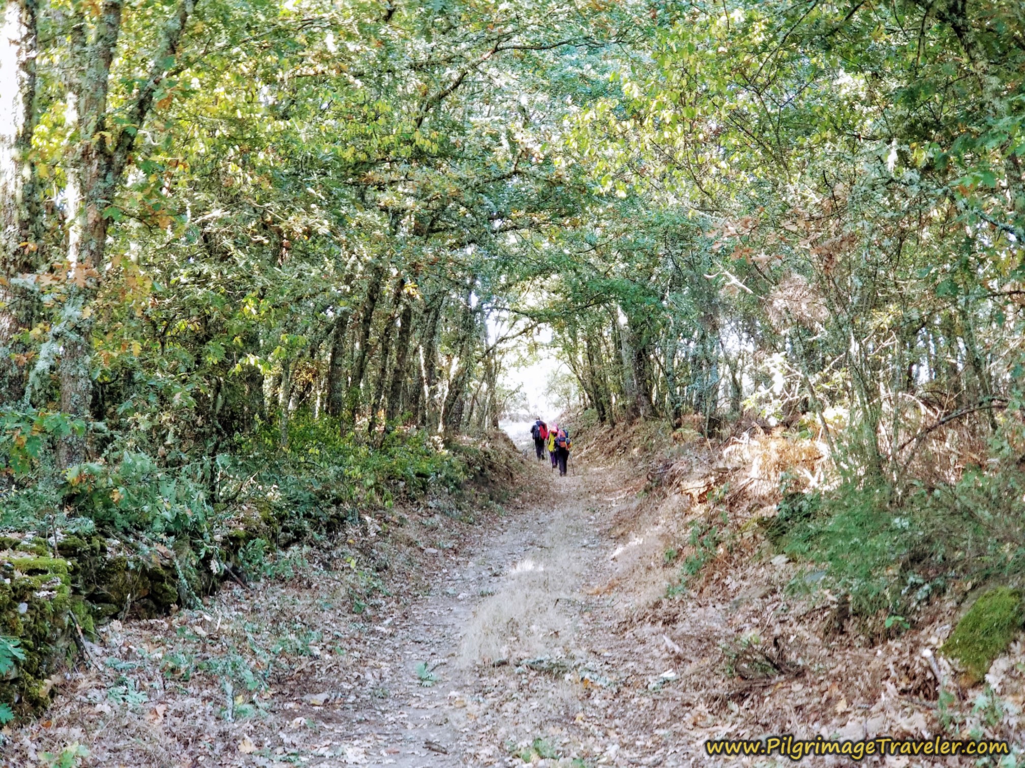 Catching Up with Peregrino Friends