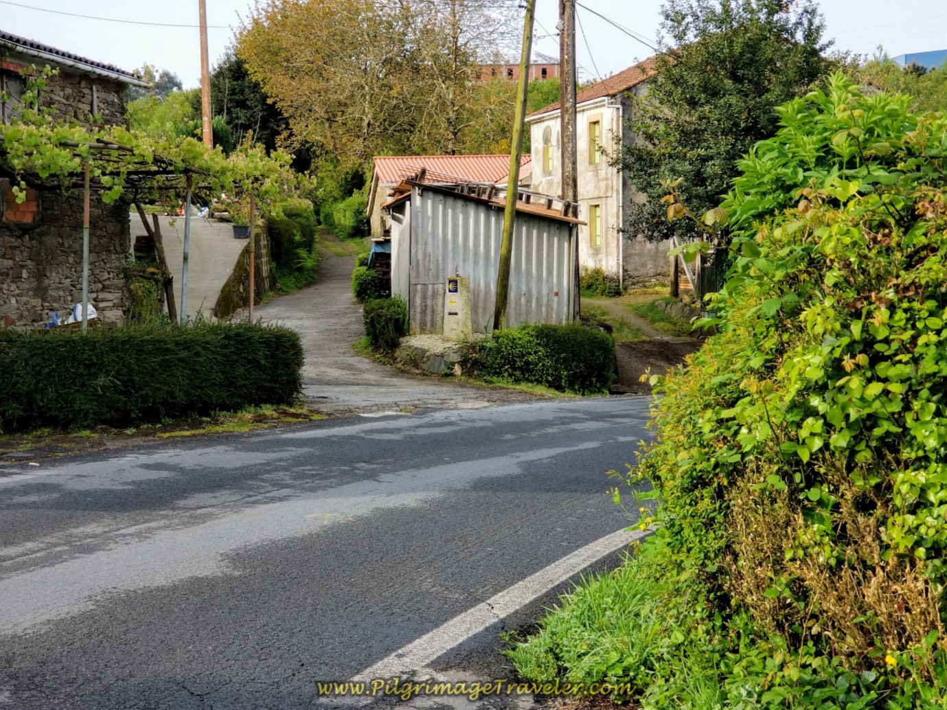 Cross the DP-3503, Continue Straight On on day two of the Camino Inglés