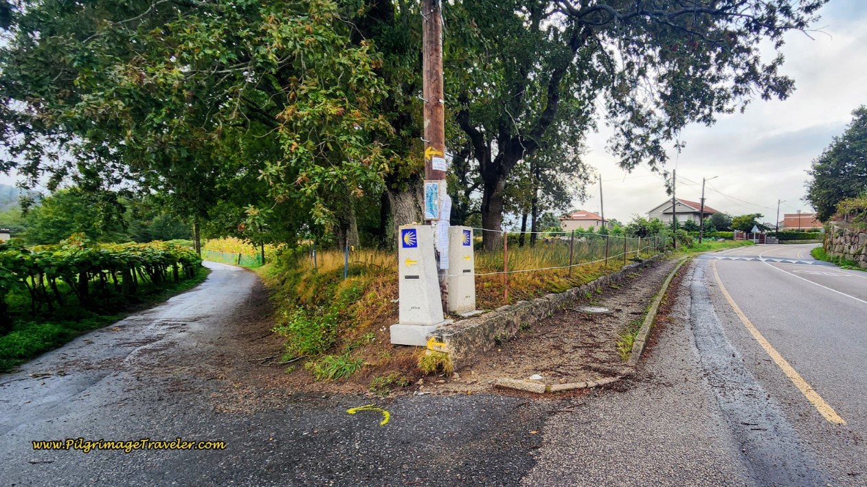 Decision Point in O Pobo