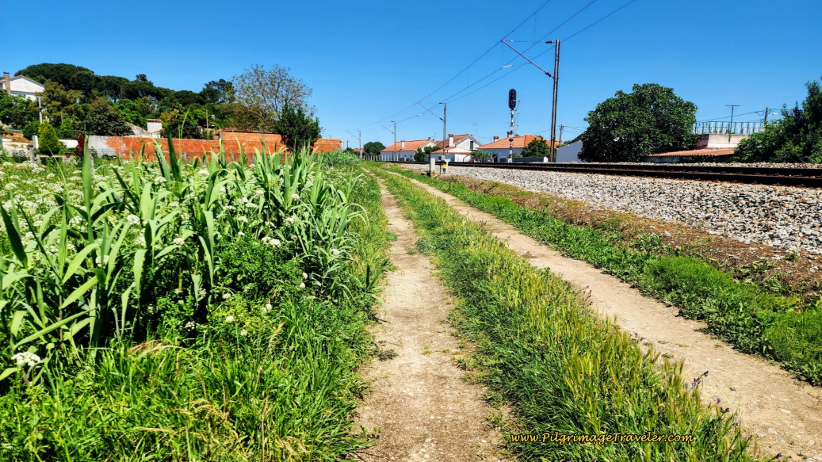 Walking Into Carvalhos de Figueiredo