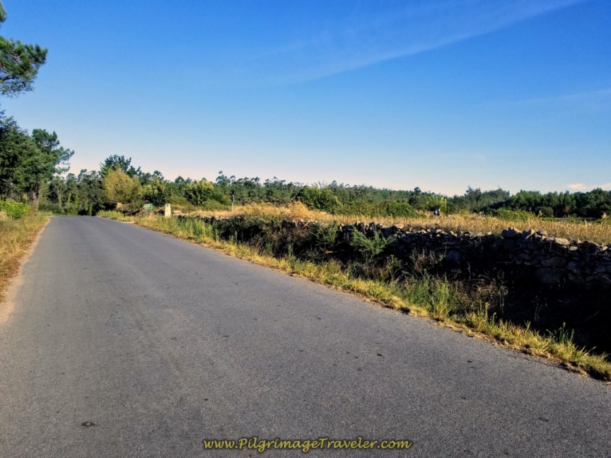 Leave A Grixa on Country Road