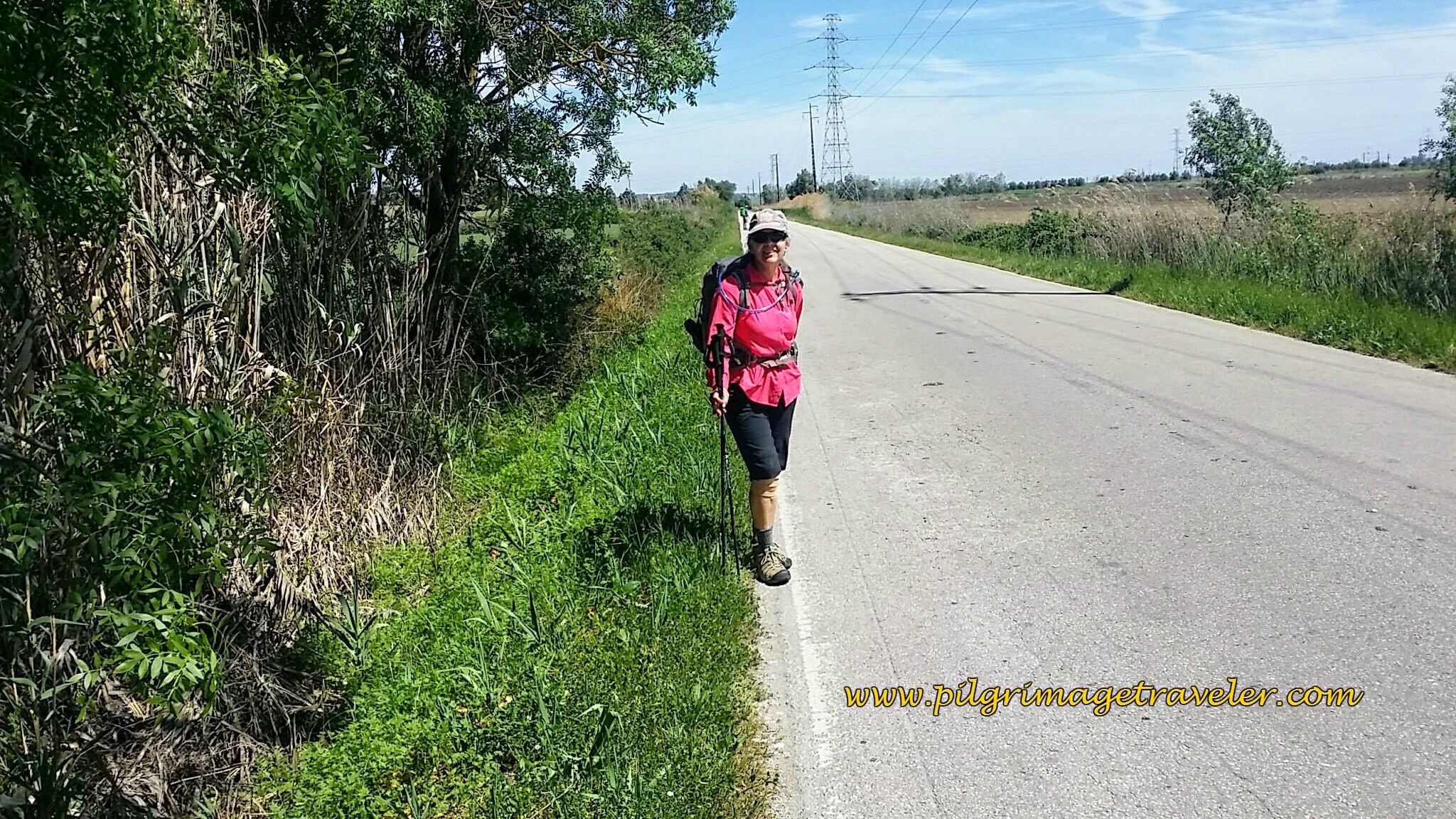 Along the Estrada da Central, Vila Nova da Rainha, Portugal