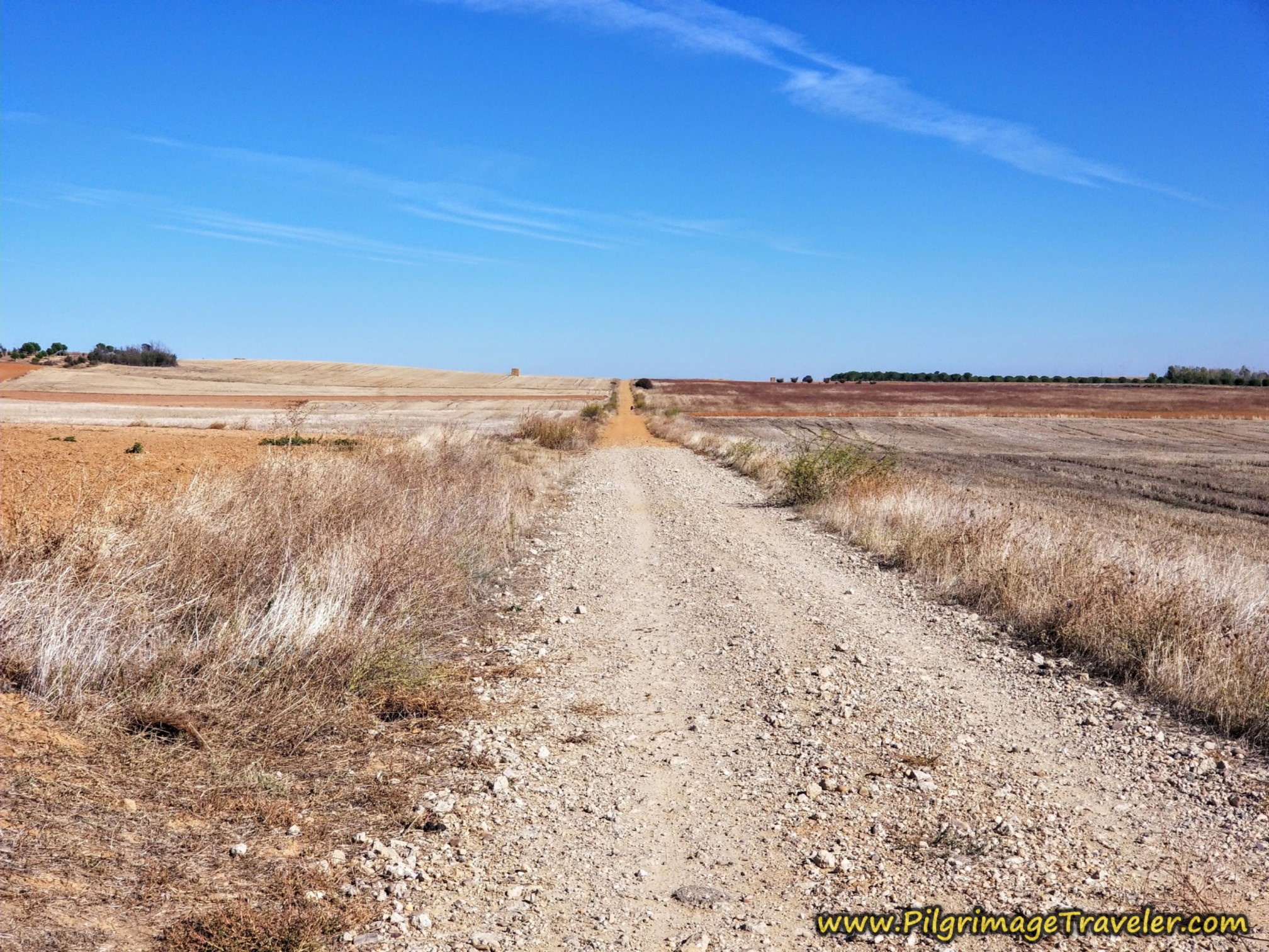 Long Hot Road Ahead on the Vía de la Plata from Montamarta to Granja de Moreruela