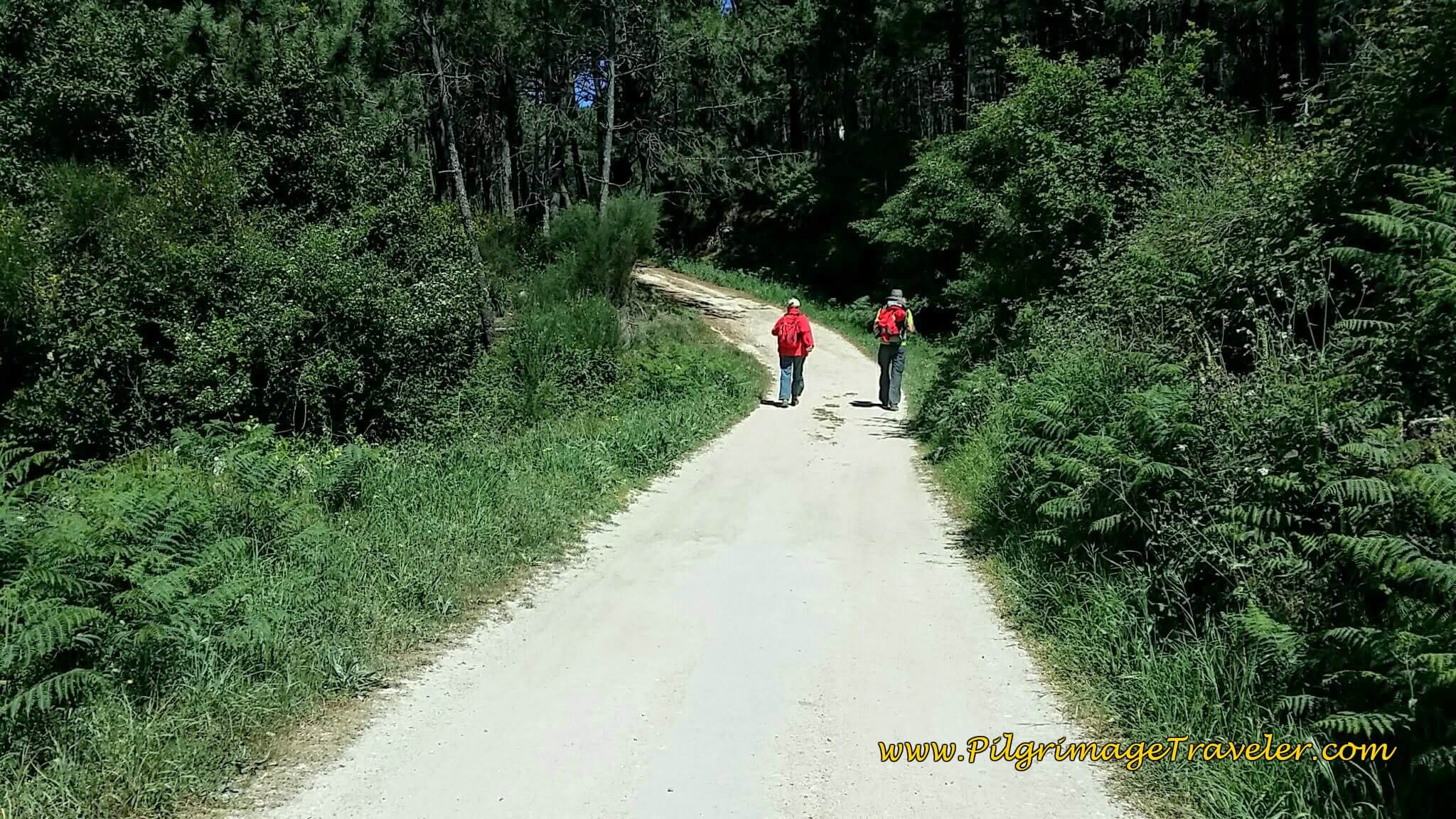 Quiet Dirt Road to Walk Upon on Day Nineteen of the Camino Portugués