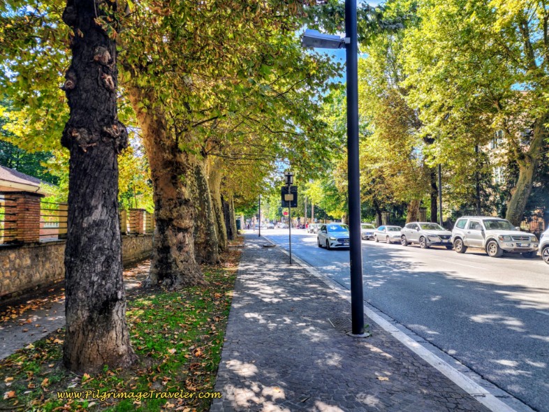 Way of St. Francis: Day Eighteen, Poggio Bustone to Rieti - Viale Emilio Maraini Lined with Oak Trees