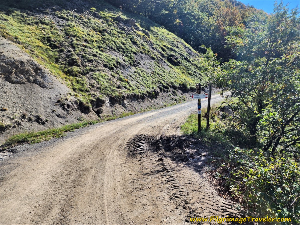 Return to Gravel Road