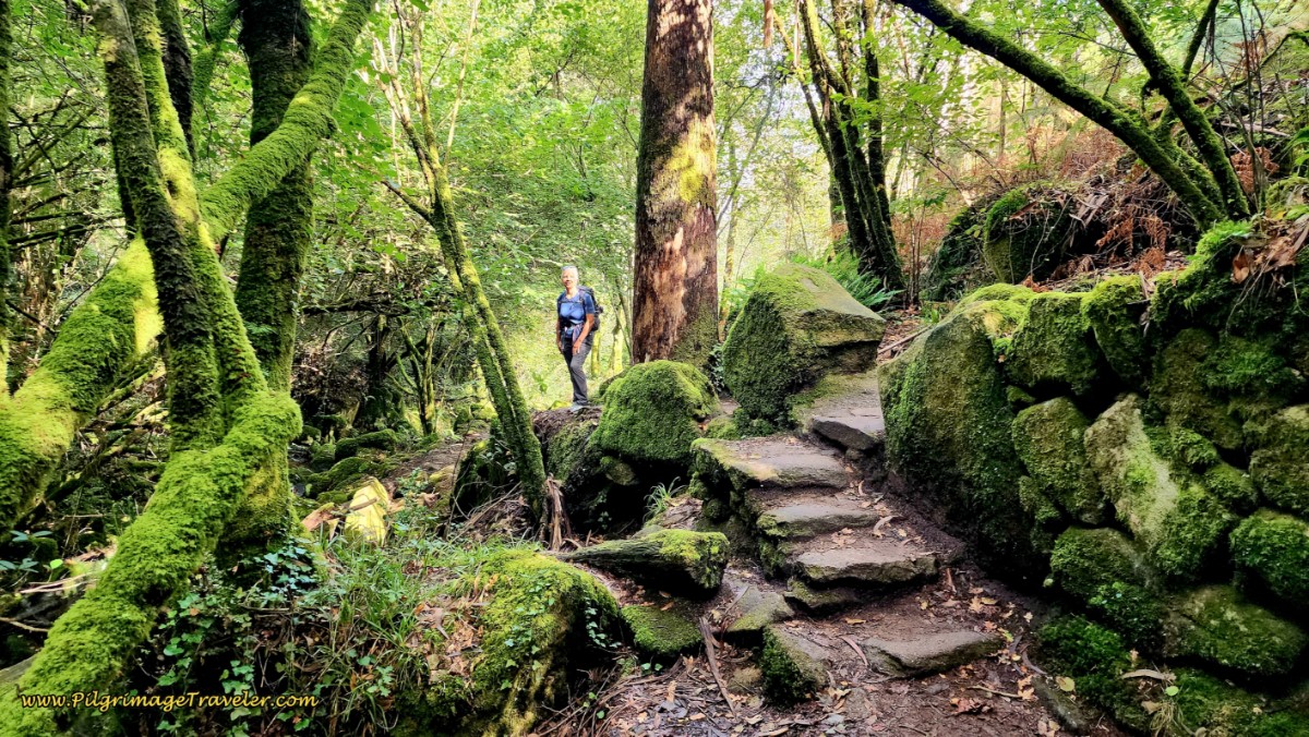 Stone Stairway on the Ruta da Pedra e da Auga