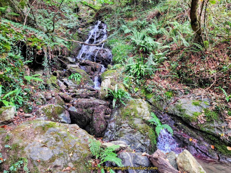 Drop to Stream Crossing on the Camino de San Salvador, Day Four