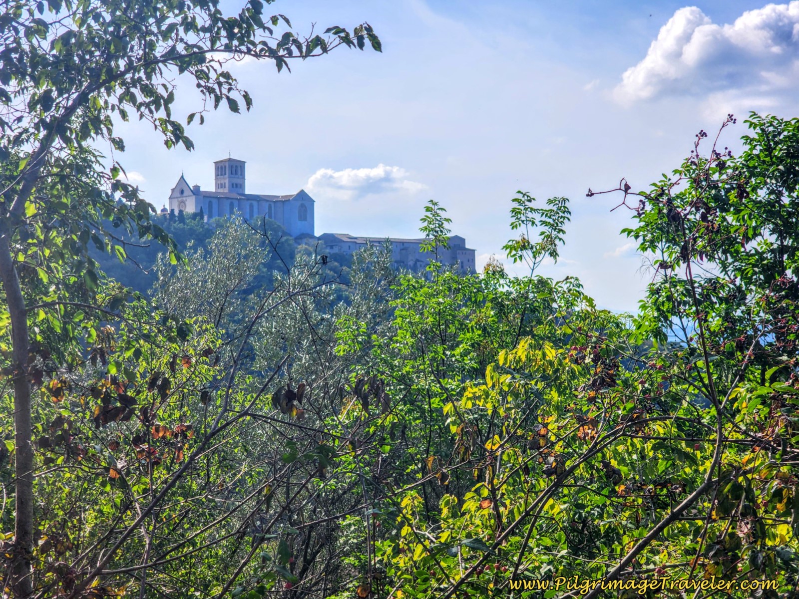 The Cathedral of Assisi, the Destination, day ten, Way of St. Francis, Valfabbrica to Assisi