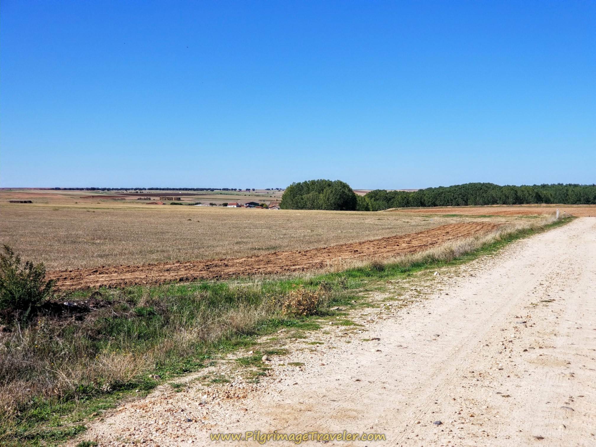 Trees Line the Río Gamo on day five of the Ruta Teresiana