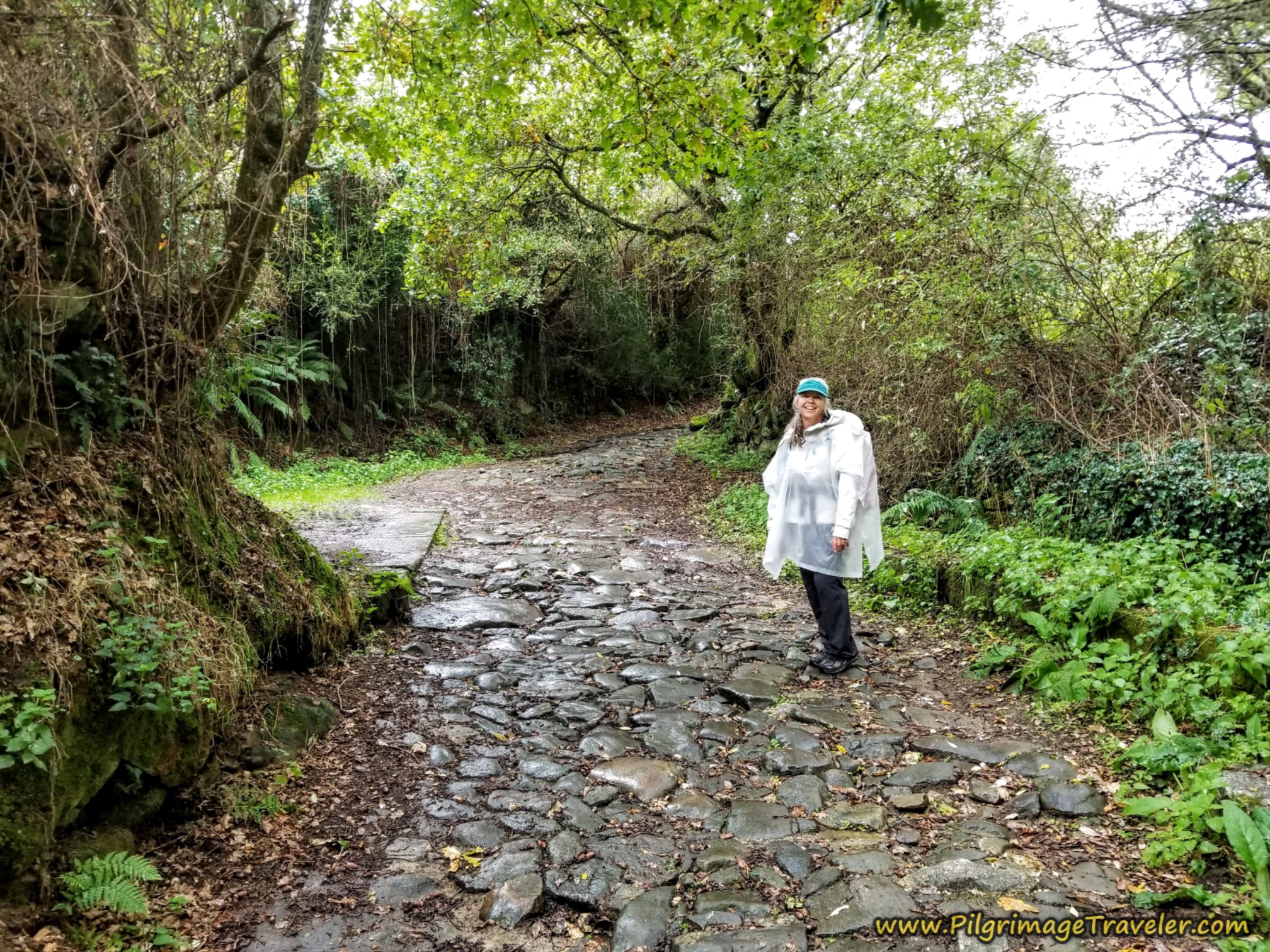 Elle on the Continuing Ancient Road