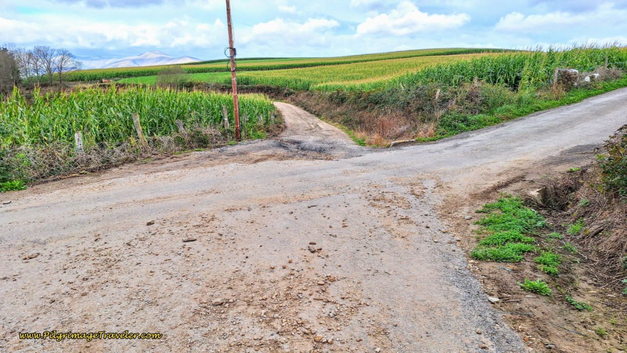 Stay Straight at Crossroads